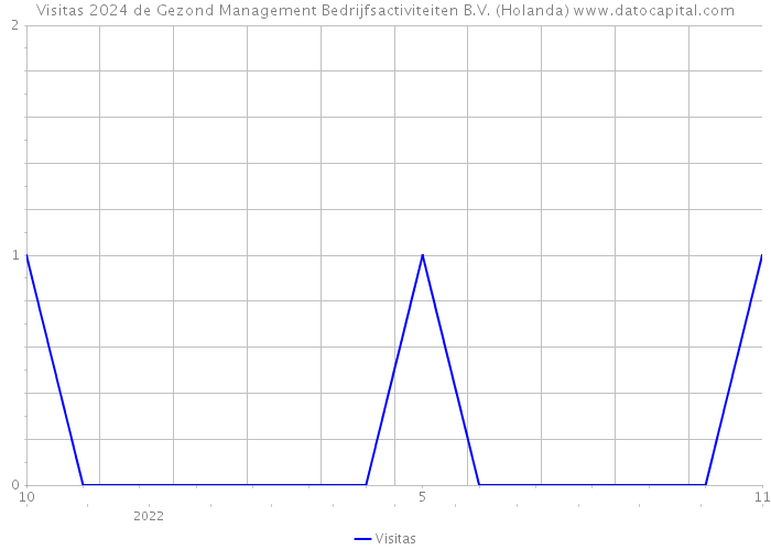 Visitas 2024 de Gezond Management Bedrijfsactiviteiten B.V. (Holanda) 