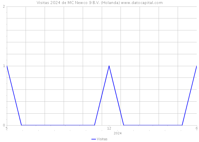 Visitas 2024 de MC Newco 9 B.V. (Holanda) 