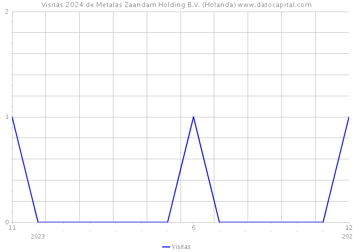 Visitas 2024 de Metalas Zaandam Holding B.V. (Holanda) 