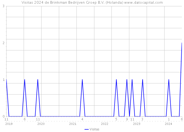 Visitas 2024 de Brinkman Bedrijven Groep B.V. (Holanda) 