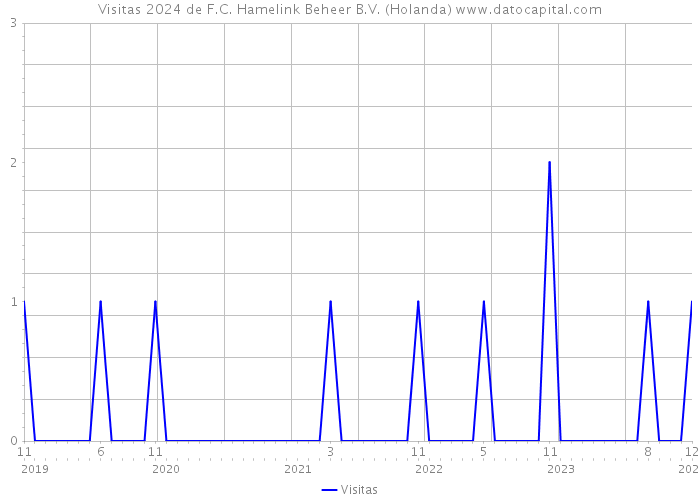 Visitas 2024 de F.C. Hamelink Beheer B.V. (Holanda) 