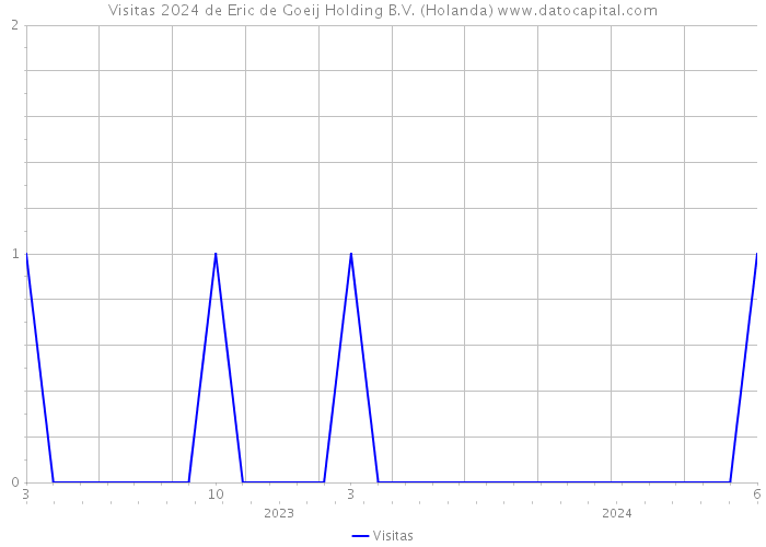 Visitas 2024 de Eric de Goeij Holding B.V. (Holanda) 