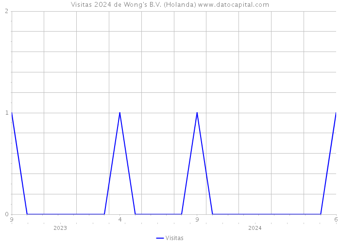 Visitas 2024 de Wong's B.V. (Holanda) 