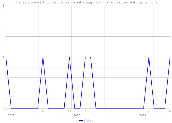 Visitas 2024 de A. Schaap Beheersmaatschappij B.V. (Holanda) 