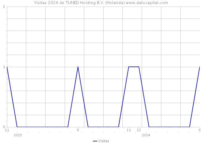 Visitas 2024 de TUNED Holding B.V. (Holanda) 