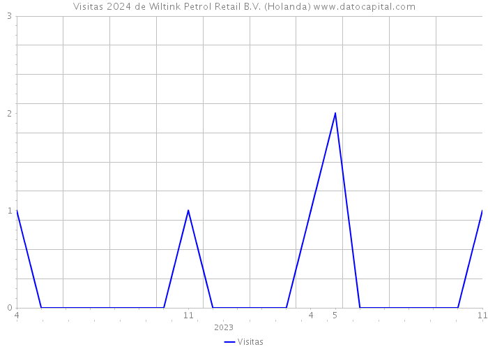 Visitas 2024 de Wiltink Petrol Retail B.V. (Holanda) 