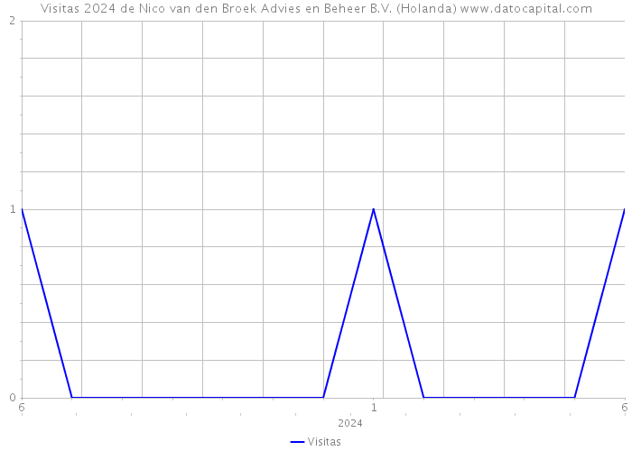 Visitas 2024 de Nico van den Broek Advies en Beheer B.V. (Holanda) 