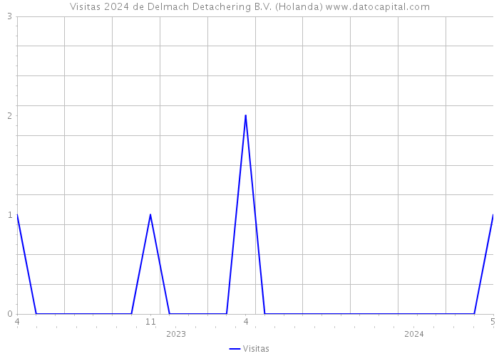 Visitas 2024 de Delmach Detachering B.V. (Holanda) 