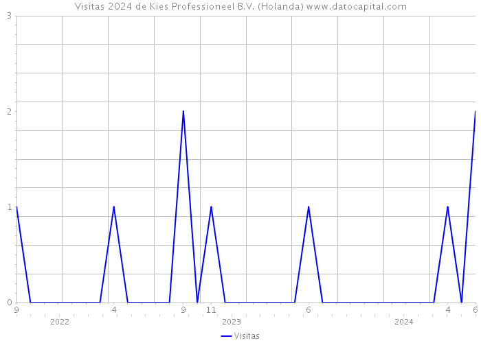 Visitas 2024 de Kies Professioneel B.V. (Holanda) 