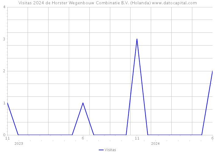 Visitas 2024 de Horster Wegenbouw Combinatie B.V. (Holanda) 