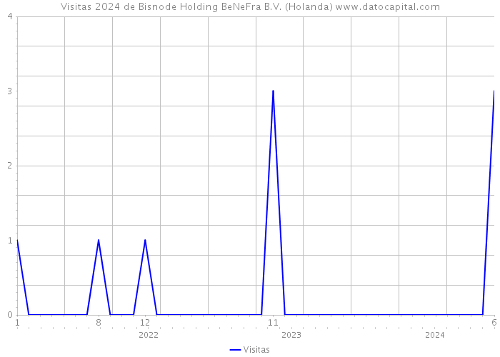 Visitas 2024 de Bisnode Holding BeNeFra B.V. (Holanda) 