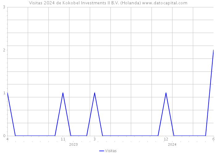 Visitas 2024 de Kokobel Investments II B.V. (Holanda) 
