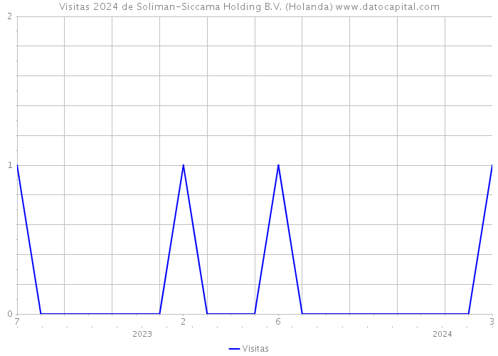 Visitas 2024 de Soliman-Siccama Holding B.V. (Holanda) 