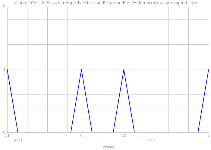 Visitas 2024 de Bouwkundig Adviesbureau Brugman B.V. (Holanda) 