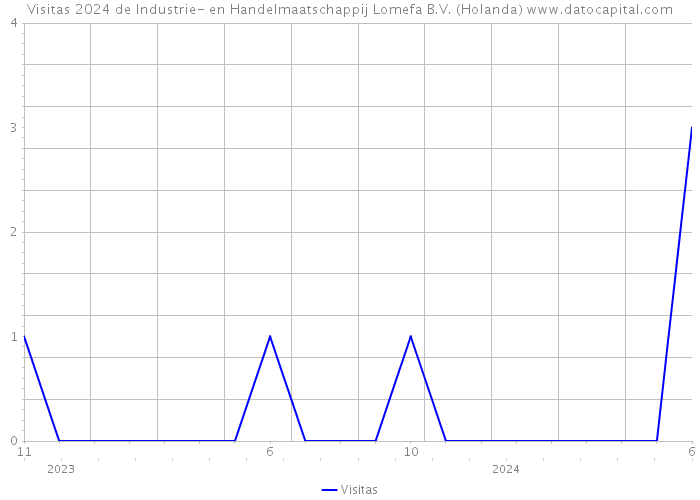 Visitas 2024 de Industrie- en Handelmaatschappij Lomefa B.V. (Holanda) 