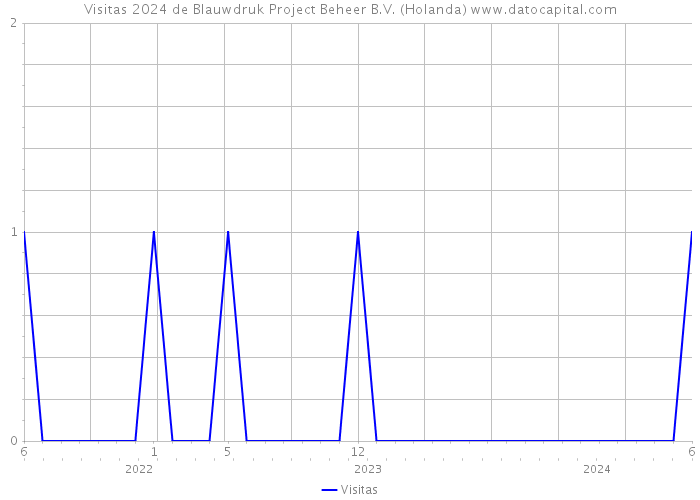 Visitas 2024 de Blauwdruk Project Beheer B.V. (Holanda) 