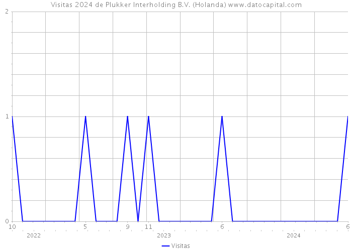 Visitas 2024 de Plukker Interholding B.V. (Holanda) 