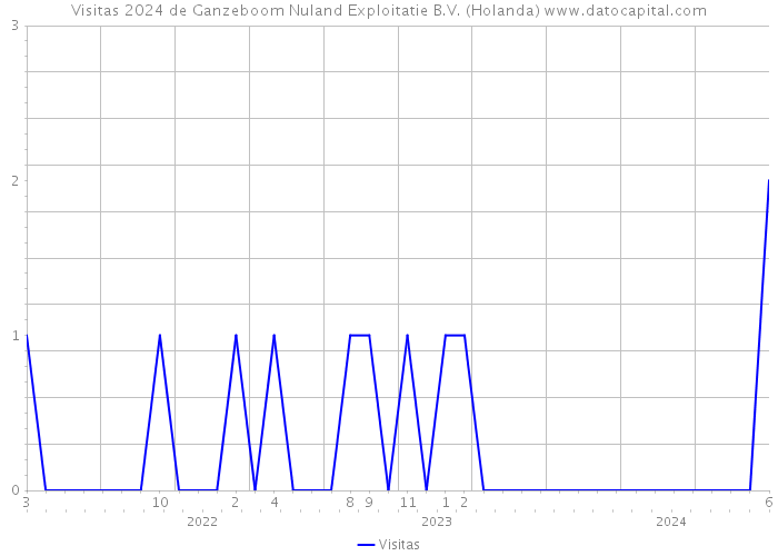 Visitas 2024 de Ganzeboom Nuland Exploitatie B.V. (Holanda) 