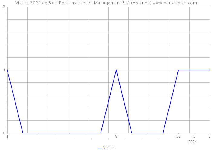 Visitas 2024 de BlackRock Investment Management B.V. (Holanda) 