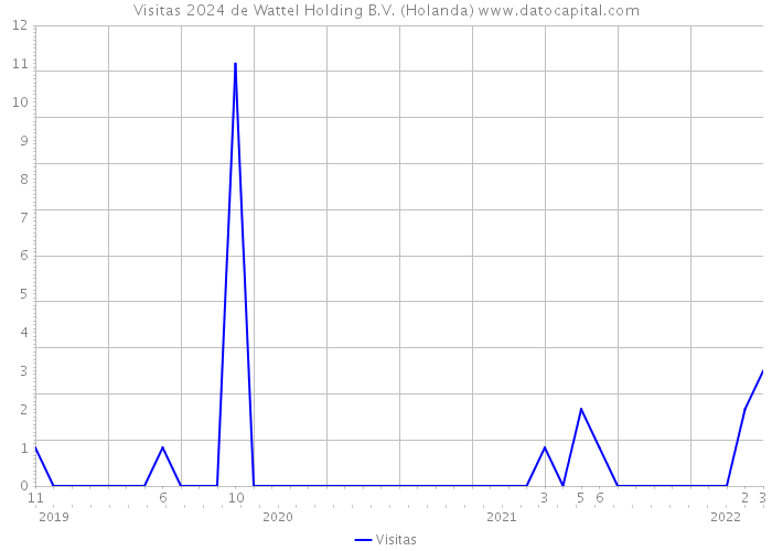 Visitas 2024 de Wattel Holding B.V. (Holanda) 