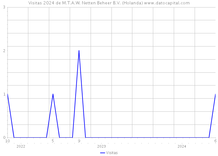 Visitas 2024 de M.T.A.W. Netten Beheer B.V. (Holanda) 