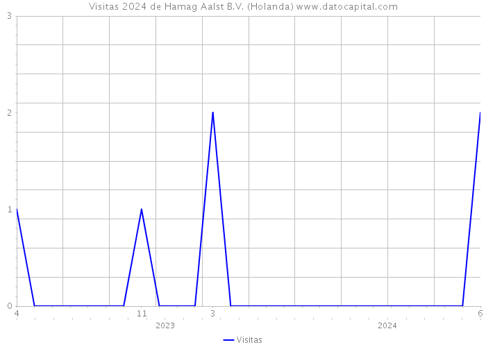 Visitas 2024 de Hamag Aalst B.V. (Holanda) 