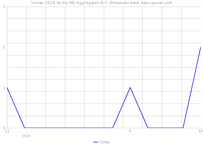 Visitas 2024 de De Wit Aggregaten B.V. (Holanda) 