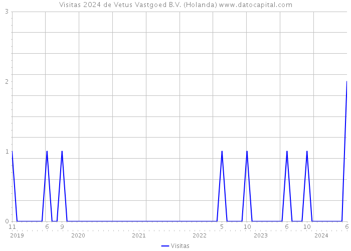 Visitas 2024 de Vetus Vastgoed B.V. (Holanda) 