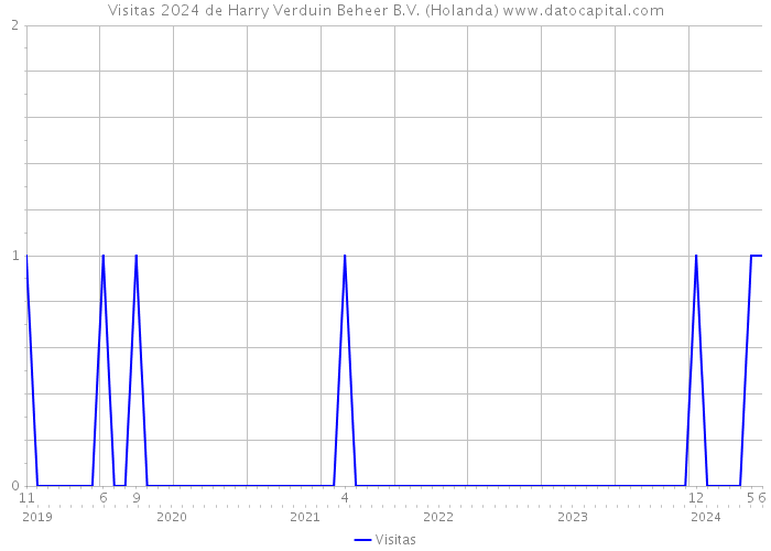 Visitas 2024 de Harry Verduin Beheer B.V. (Holanda) 