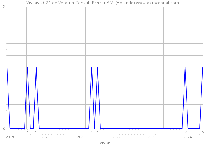 Visitas 2024 de Verduin Consult Beheer B.V. (Holanda) 