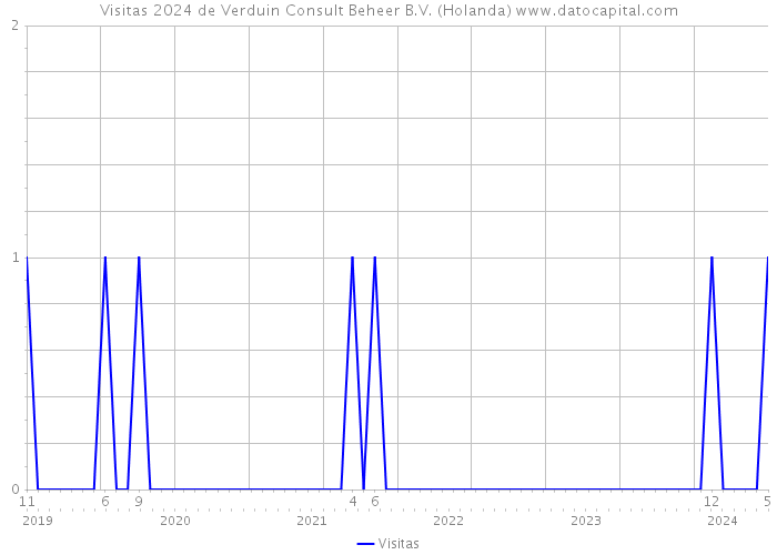 Visitas 2024 de Verduin Consult Beheer B.V. (Holanda) 