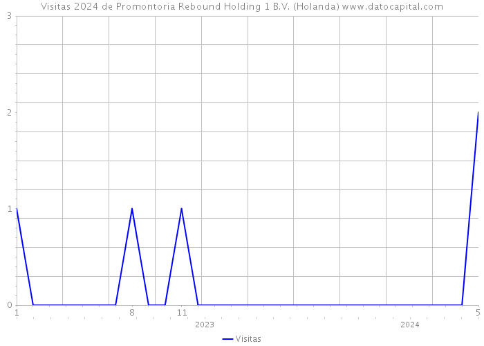 Visitas 2024 de Promontoria Rebound Holding 1 B.V. (Holanda) 