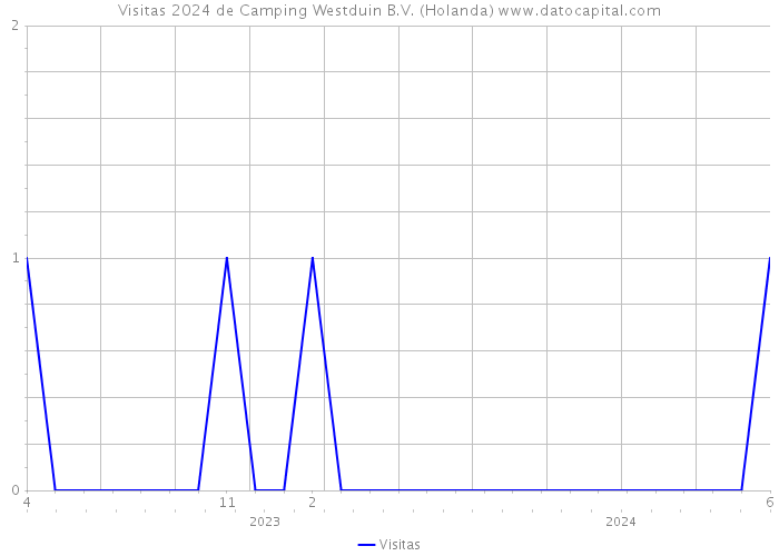 Visitas 2024 de Camping Westduin B.V. (Holanda) 