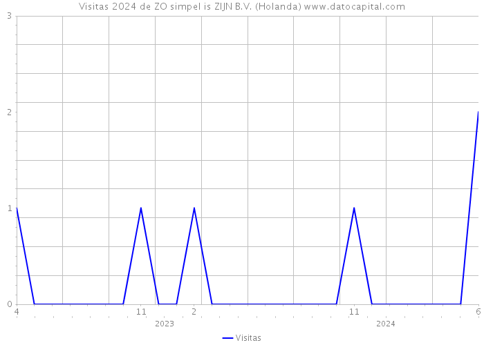 Visitas 2024 de ZO simpel is ZIJN B.V. (Holanda) 