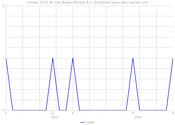 Visitas 2024 de Van Braam Beheer B.V. (Holanda) 