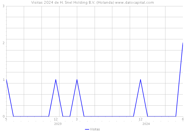 Visitas 2024 de H. Snel Holding B.V. (Holanda) 