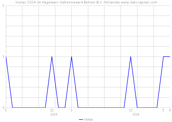 Visitas 2024 de Hagelaars Valkenswaard Beheer B.V. (Holanda) 