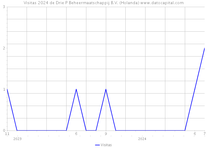 Visitas 2024 de Drie P Beheermaatschappij B.V. (Holanda) 