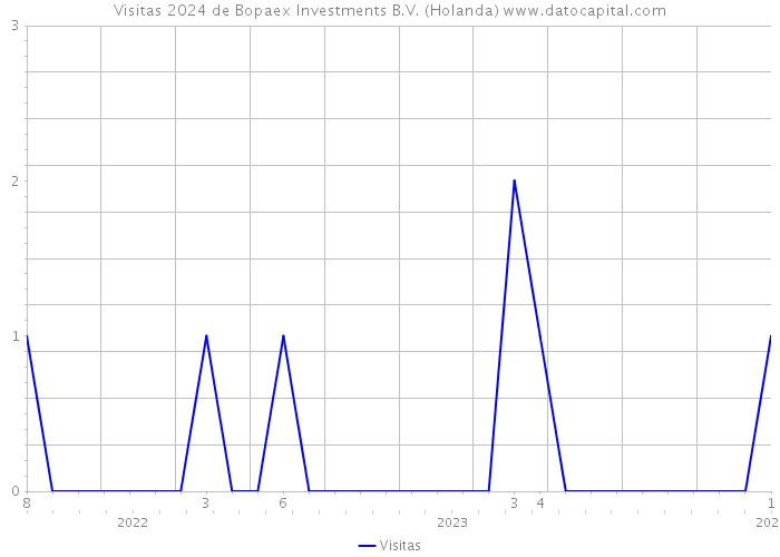 Visitas 2024 de Bopaex Investments B.V. (Holanda) 