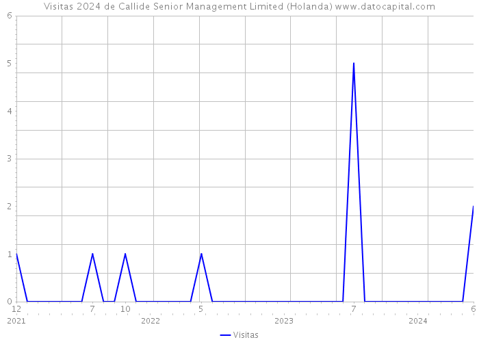 Visitas 2024 de Callide Senior Management Limited (Holanda) 
