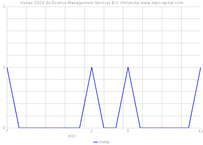 Visitas 2024 de Doekoe Management Services B.V. (Holanda) 