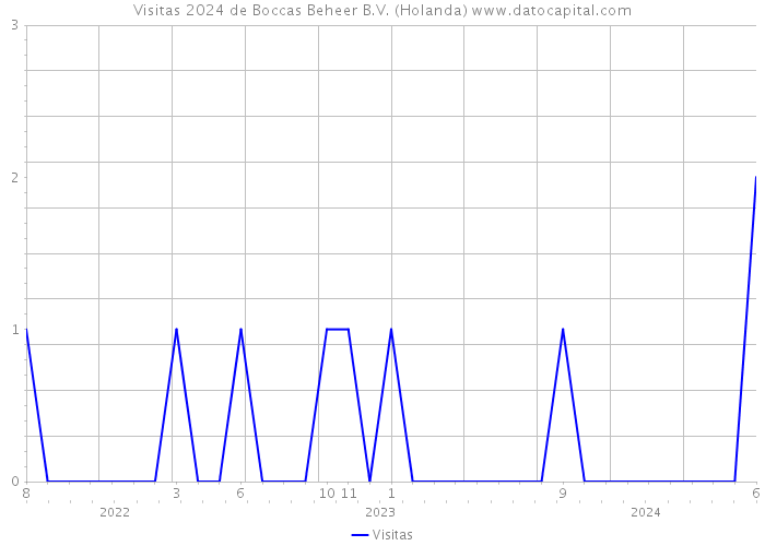 Visitas 2024 de Boccas Beheer B.V. (Holanda) 