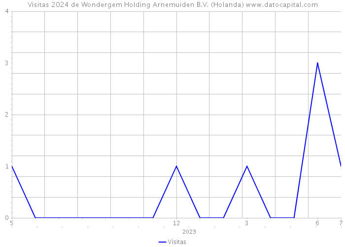Visitas 2024 de Wondergem Holding Arnemuiden B.V. (Holanda) 