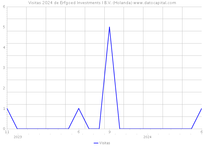 Visitas 2024 de Erfgoed Investments I B.V. (Holanda) 