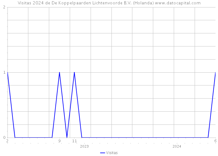 Visitas 2024 de De Koppelpaarden Lichtenvoorde B.V. (Holanda) 