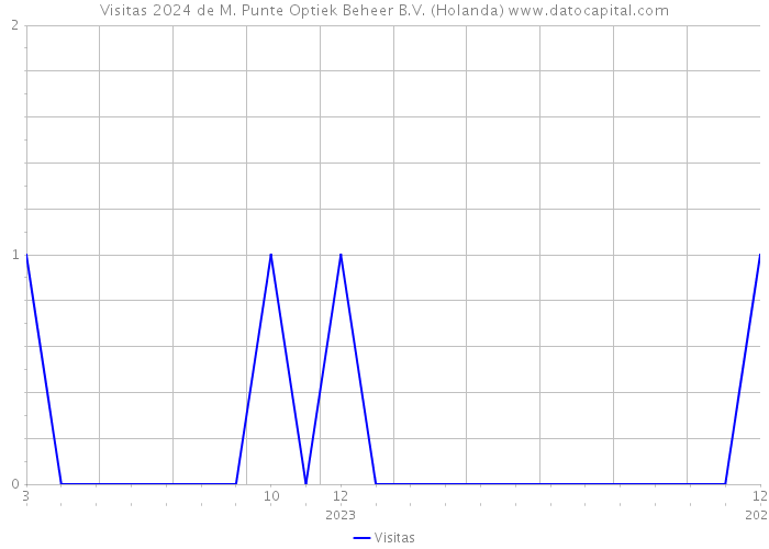 Visitas 2024 de M. Punte Optiek Beheer B.V. (Holanda) 