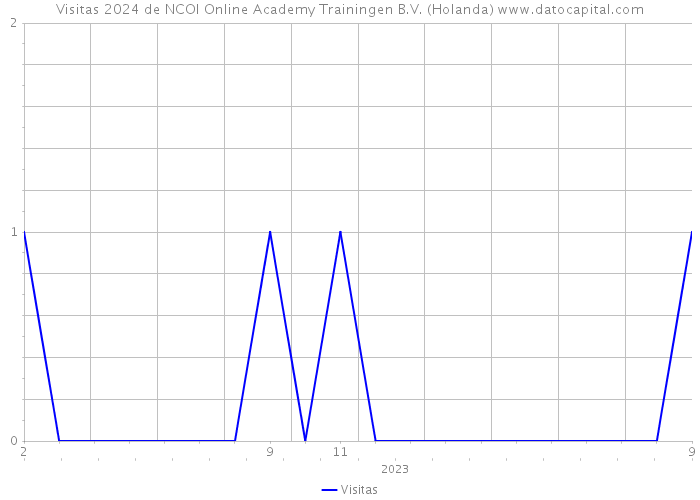 Visitas 2024 de NCOI Online Academy Trainingen B.V. (Holanda) 