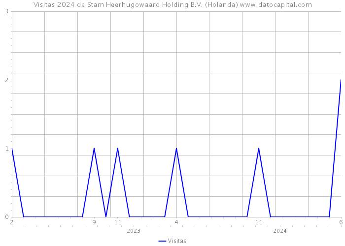 Visitas 2024 de Stam Heerhugowaard Holding B.V. (Holanda) 