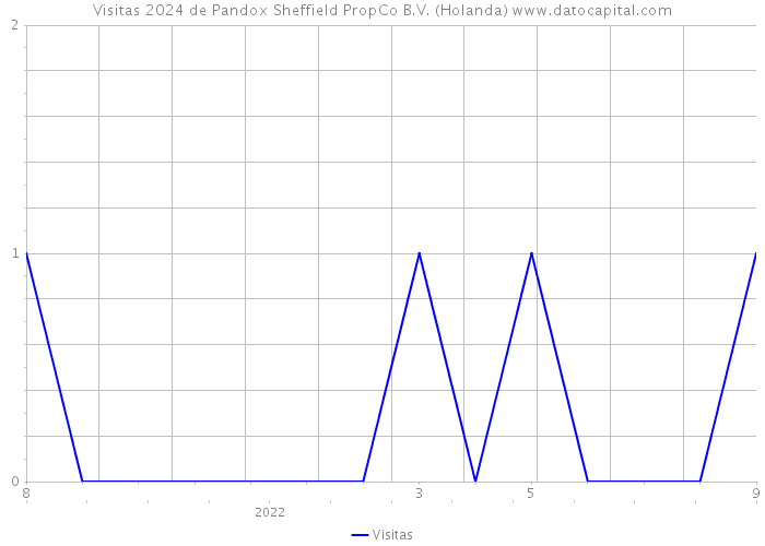 Visitas 2024 de Pandox Sheffield PropCo B.V. (Holanda) 