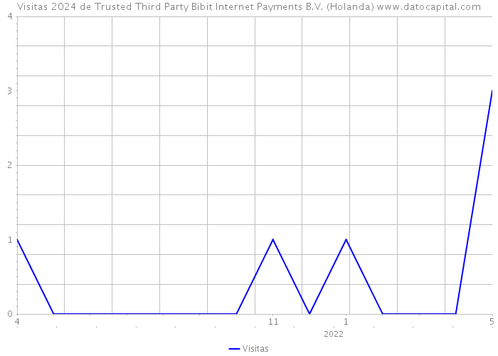 Visitas 2024 de Trusted Third Party Bibit Internet Payments B.V. (Holanda) 